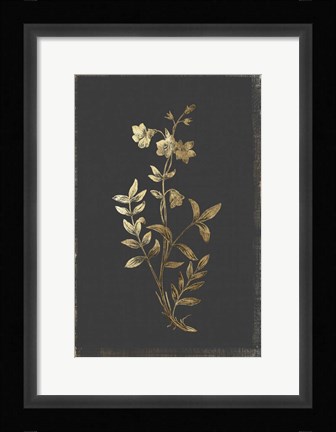 Framed Botanical Gold on Black IV Print