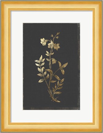 Framed Botanical Gold on Black IV Print