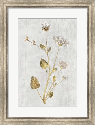 Framed Botanical Gold on White I Print