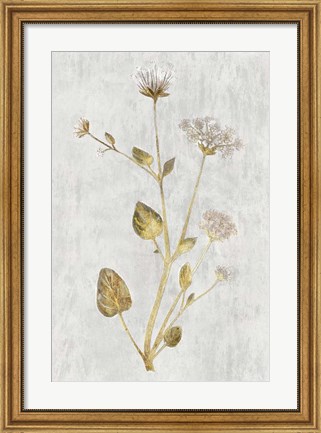 Framed Botanical Gold on White I Print