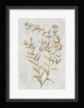 Framed Botanical Gold on White II Print