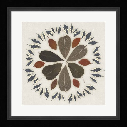 Framed Leaf Pattern II Print