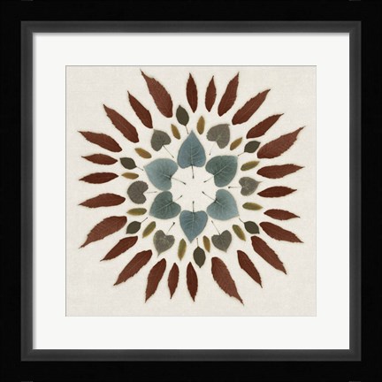Framed Leaf Pattern III Print
