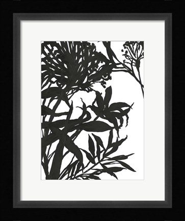 Framed Monochrome Foliage I Print