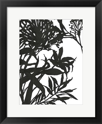 Framed Monochrome Foliage I Print