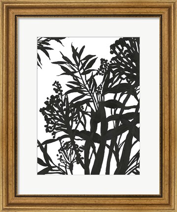 Framed Monochrome Foliage II Print
