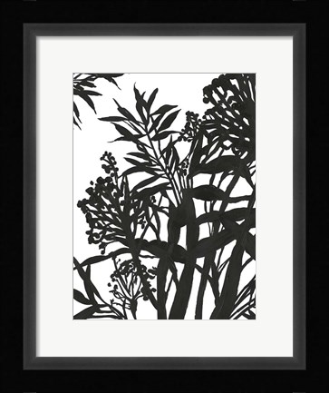 Framed Monochrome Foliage II Print