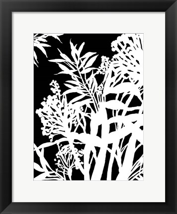 Framed Monochrome Foliage IV Print