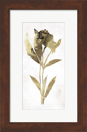 Framed Gold Botanical III Print