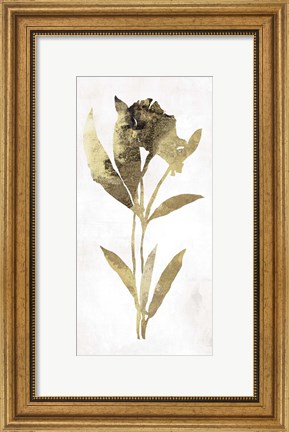 Framed Gold Botanical III Print