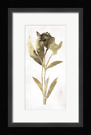 Framed Gold Botanical III Print