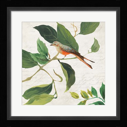 Framed Singing Bird I Print