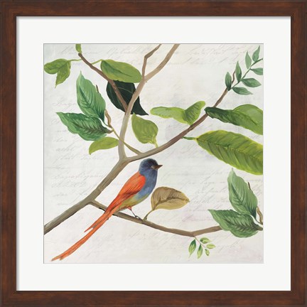 Framed Singing Bird II Print