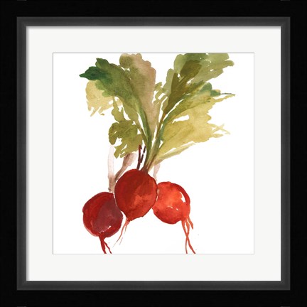 Framed Radish Print