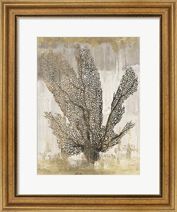 Framed Coral Splendor I Print