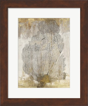 Framed Coral Splendor II Print