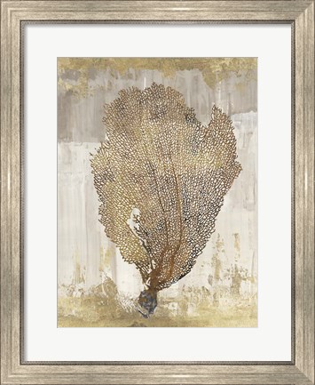 Framed Coral Splendor III Print