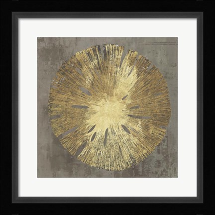 Framed Sand Dollar IA Print