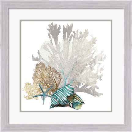 Framed Coral Print
