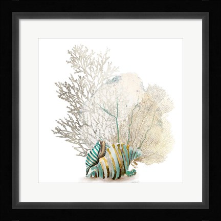 Framed Coral II Print