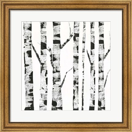 Framed White Birch Print