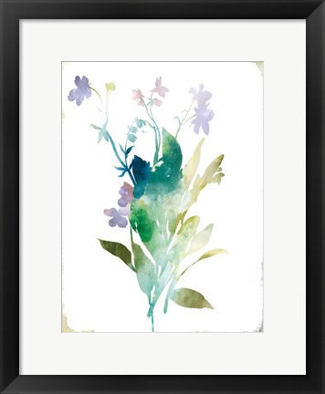 Framed Summer Botanical I Print