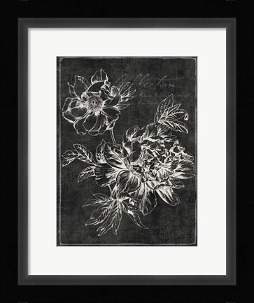 Framed Black Botanical I Print