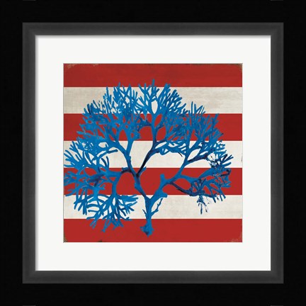 Framed Marine Coral I Print