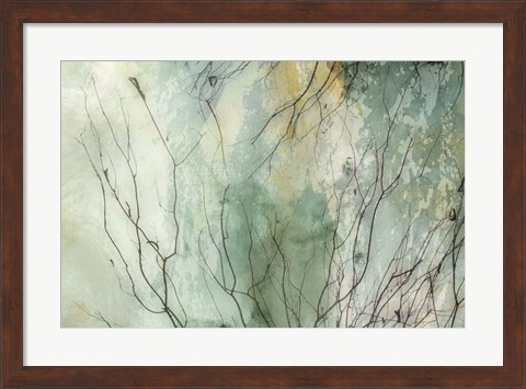 Framed Branches II Print