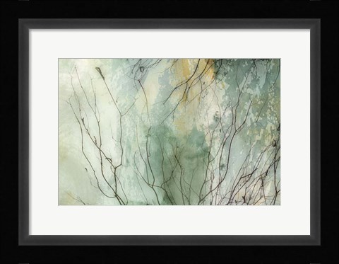 Framed Branches II Print