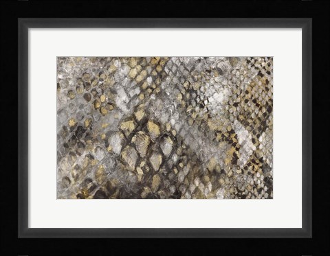 Framed Snake Skin Print