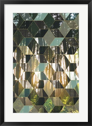 Framed Kaleidescope Visions IV Print