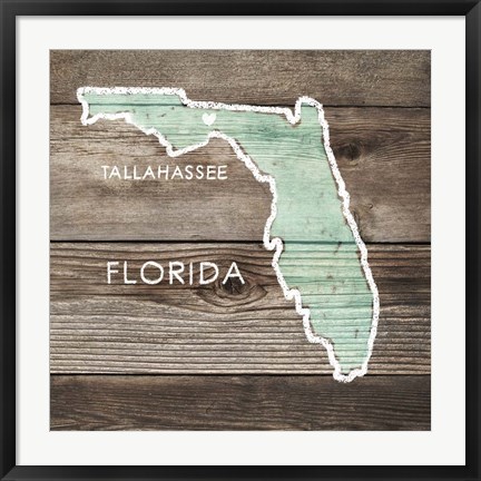 Framed Florida Rustic Map Print