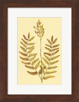 Framed Flowering Fern Print
