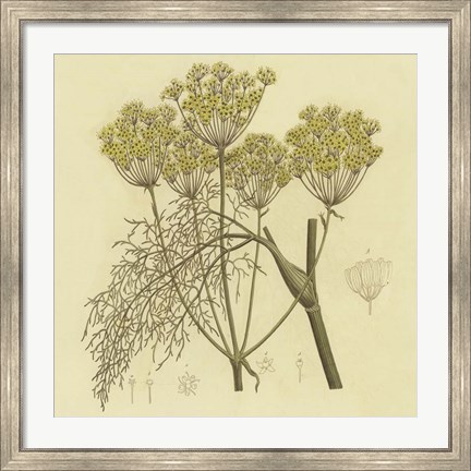 Framed Yellow Weeds Print