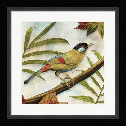 Framed Jungle Bird I Print