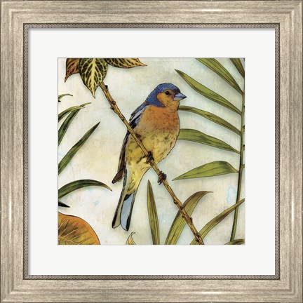 Framed Jungle Bird II Print