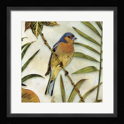 Framed Jungle Bird II Print
