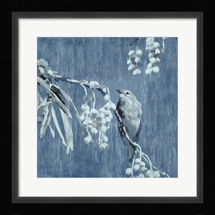 Framed Denim Songbird II Print