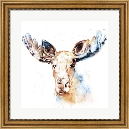 Framed Watercolour Moose Print