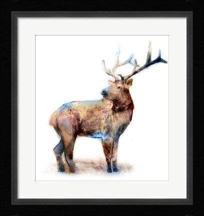 Framed Elk Print