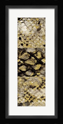 Framed Snake Squares II Print