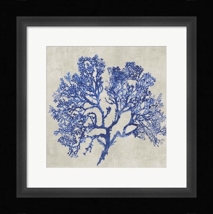 Framed Cobalt Coral I Print