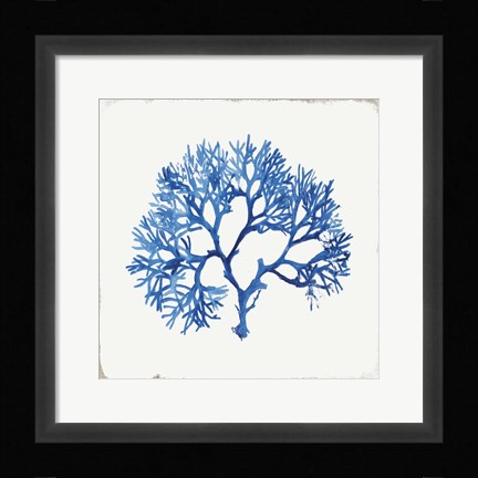 Framed Blue and Green Coral V Print