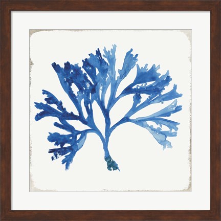 Framed Blue and Green Coral IV Print