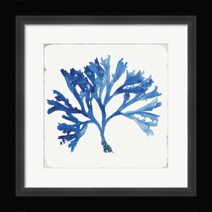 Framed Blue and Green Coral IV Print