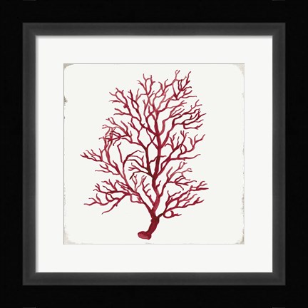 Framed Red Coral III Print