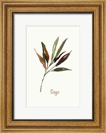 Framed Wild Sage Print