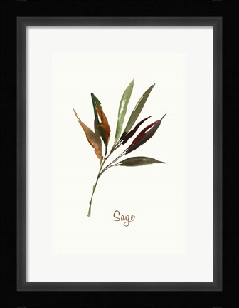 Framed Wild Sage Print
