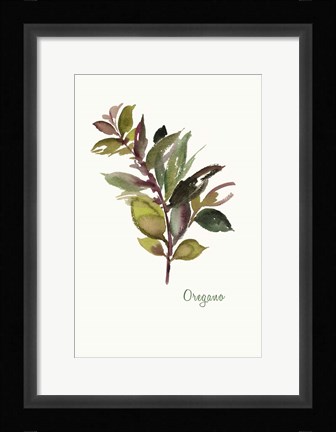 Framed Oregano Print